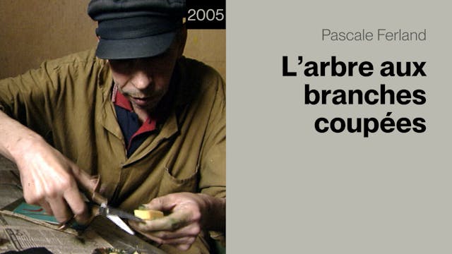 L'arbre aux branches coupées