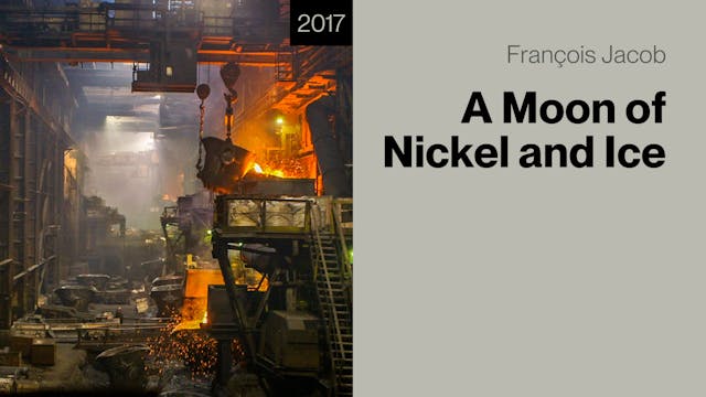 A Moon of Nickel and Ice