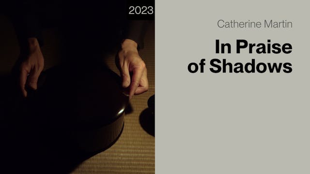 In Praise of Shadows