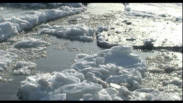 MY FATHER'S STUDIO by Jennifer Alleyn