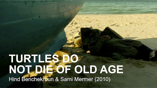 TURTLES DO NOT DIE OF OLD AGE by Hind Benchekroun and Sami Mermer