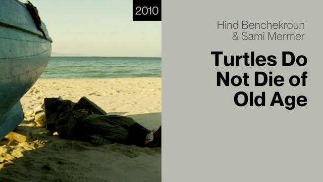 Turtles Do Not Die of Old Age