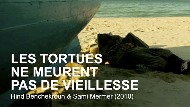 Les tortues ne meurent pas de vieillesse