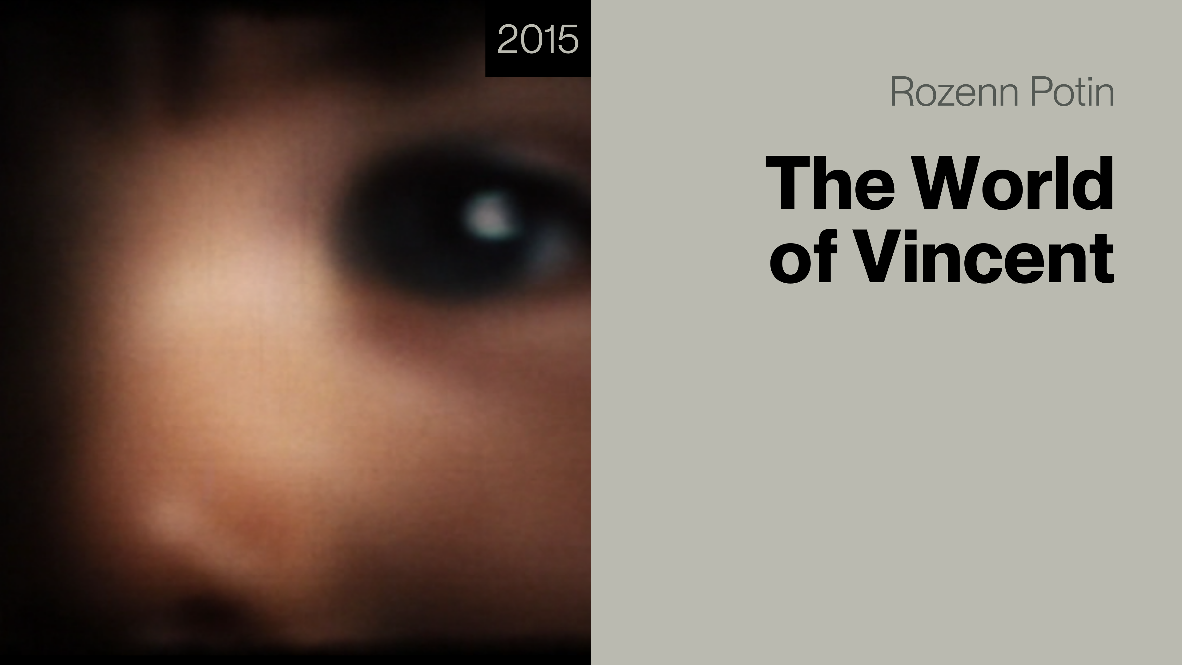 The World of Vincent