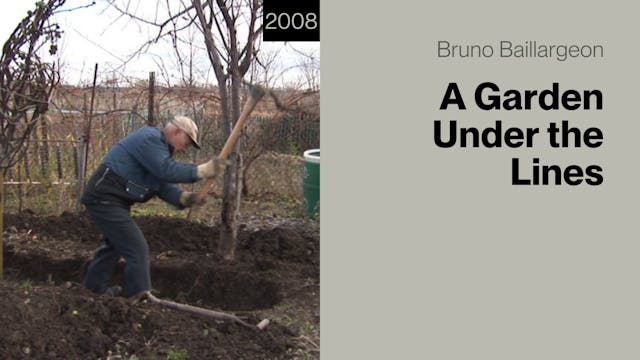 A Garden Under the Lines