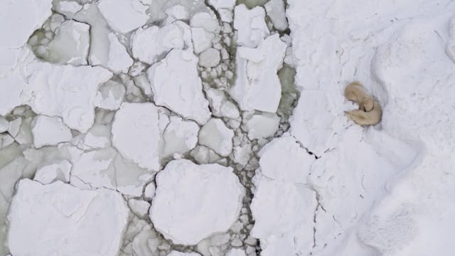 L'OASIS ARTICQUE AVEC François Messie...