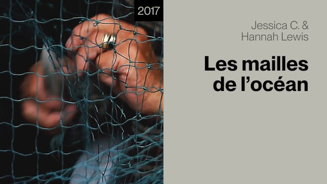 Les mailles de l'océan