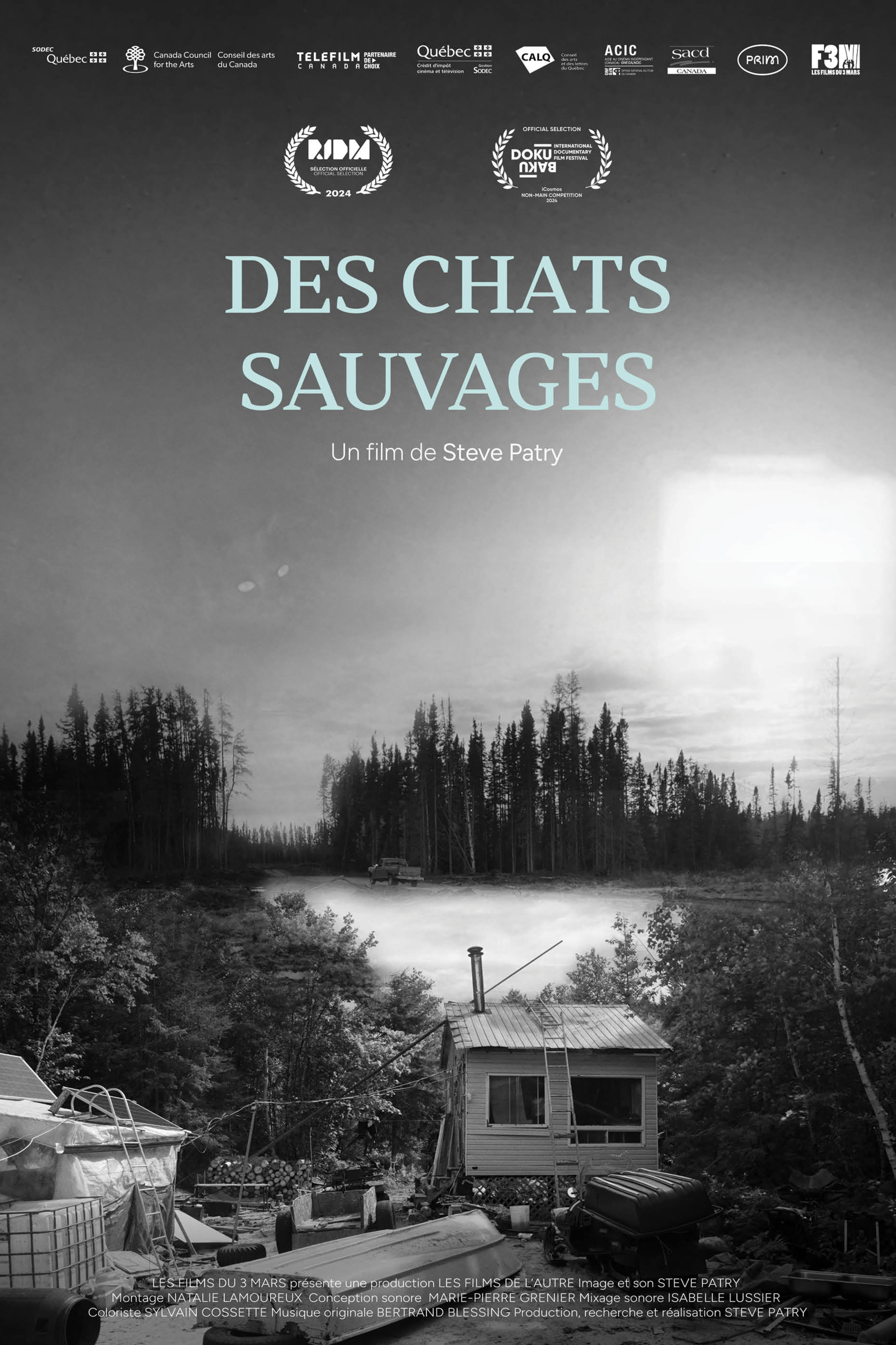 Des chats sauvages