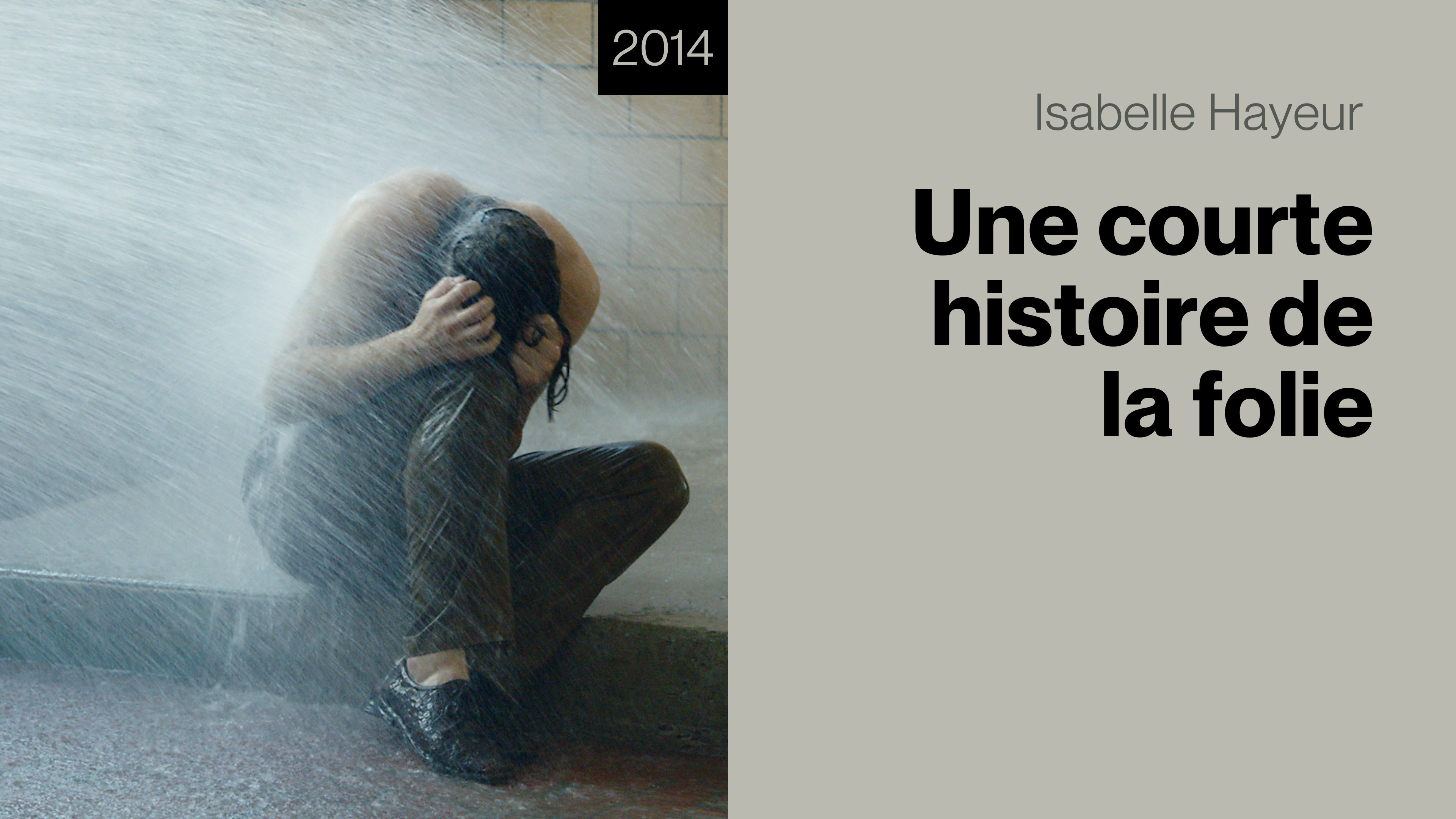 Une courte histoire de la folie