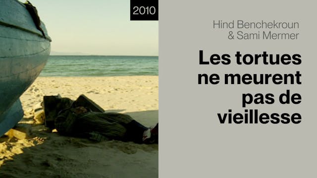 Les tortues ne meurent pas de vieillesse