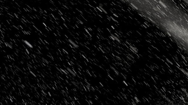 Hundreds of Beavers Special Feature: ...