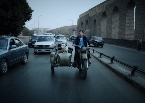 Seeking Haven for Mr. Rambo (البحث عن منفذ لخروج السيد رامبو)