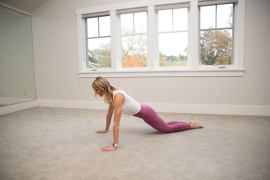 The Proper Pushup