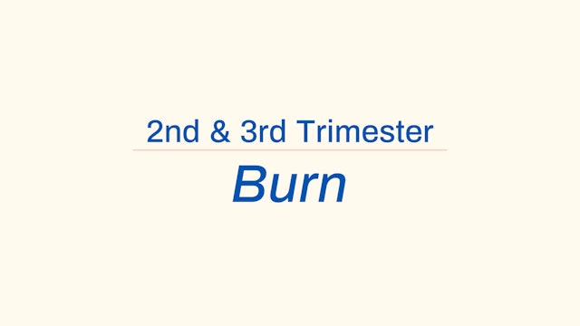 2nd/3rd Trimester Burn: Abs & back