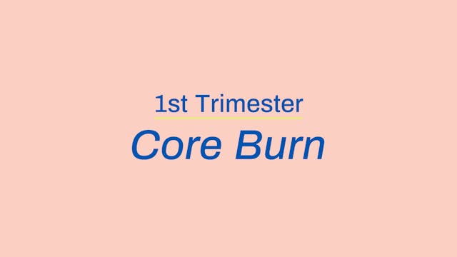 1st Trimester Burn: Abs & back