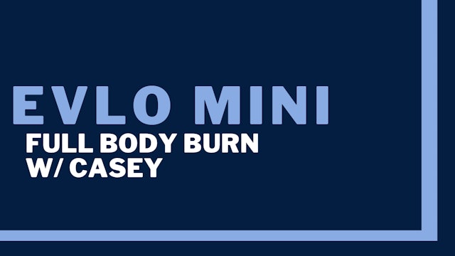 Evlo Mini: Full Body Burn 