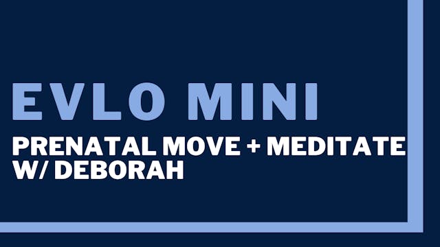 Evlo Mini: 2nd/3rd Trimester Move + M...