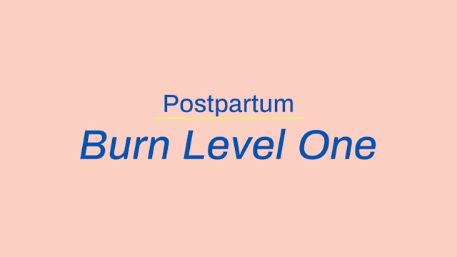 Postpartum Burn Level 1