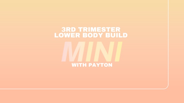 Evlo Mini: 3rd Trimester Lower Body Build: Quads & glutes