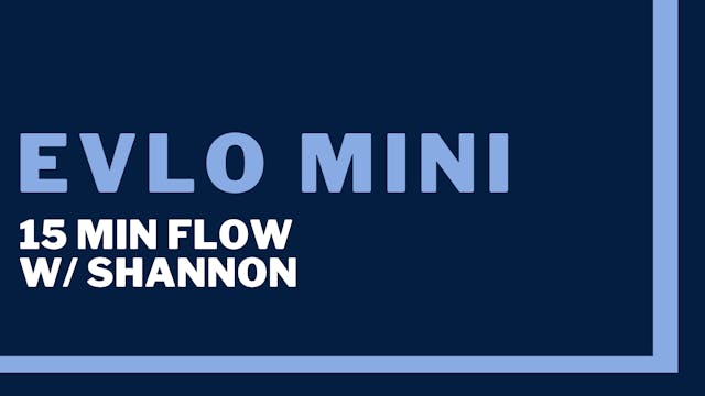 Evlo Mini: 15 minute flow
