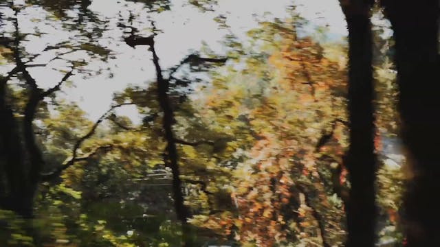 INDIA \\ Episode 4 \\ It’s A Joyride