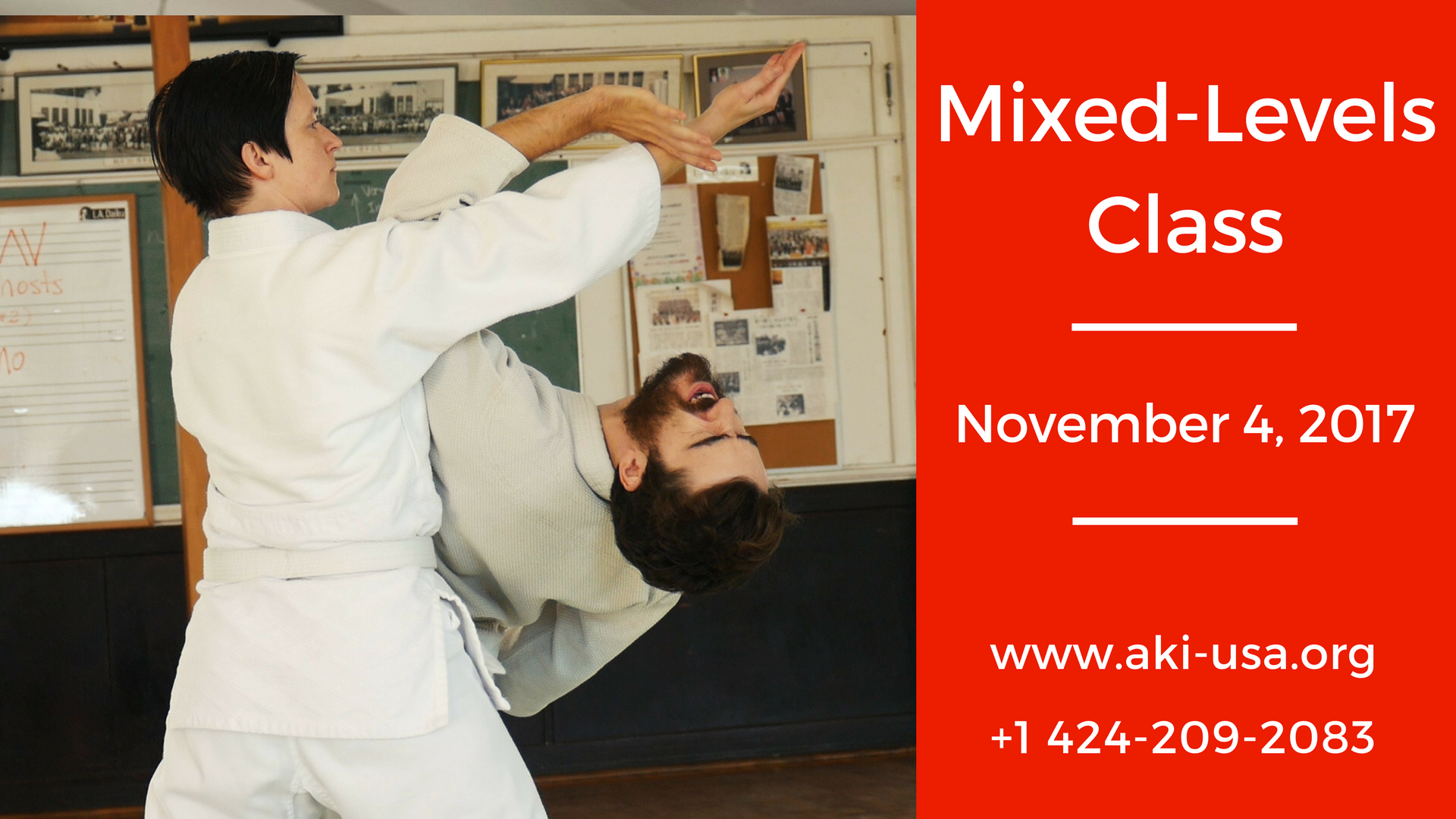 Mixed Levels Class: November 4, 2017
