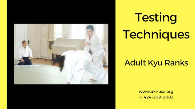 Testing Techniques: Adults 5th - 1st kyu