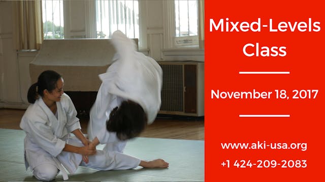 Mixed Levels Class: November 18, 2017