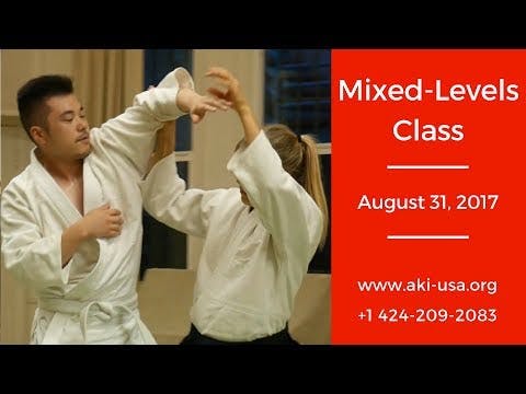 Aikido Kenkuyukai Adults Mixed Levels...