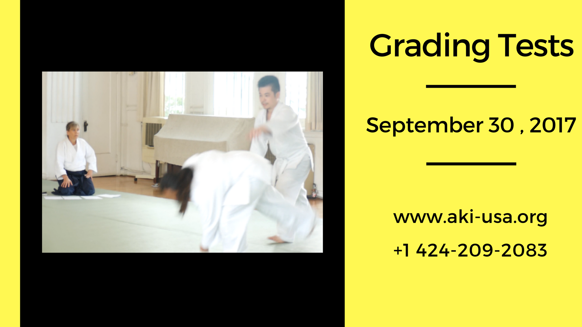 Testing: Adults Kyu Ranks, 9/30/17