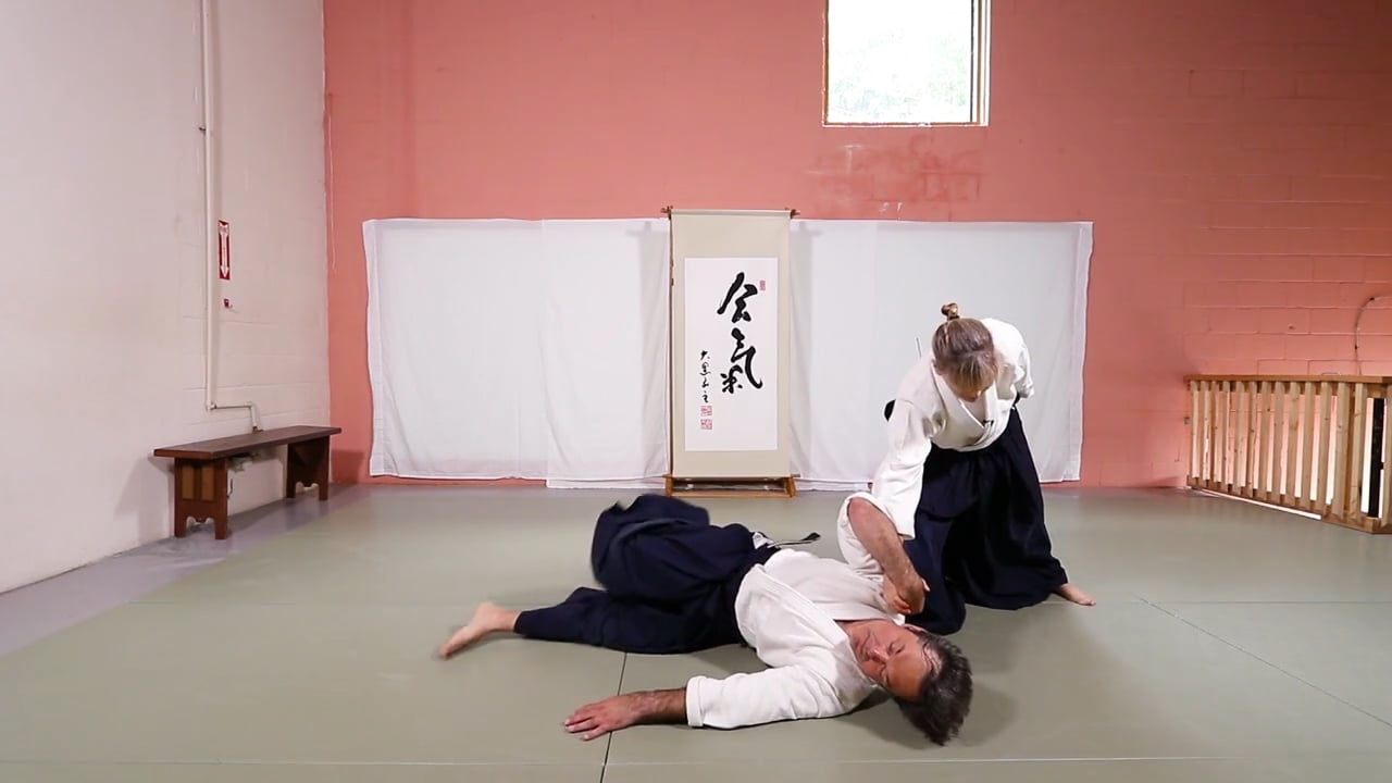 Shomen Uchi Iriminage - Aikido White Belt Bible: Course 1 - Lia Suzuki's  Virtual Dojo Video and Resource Center