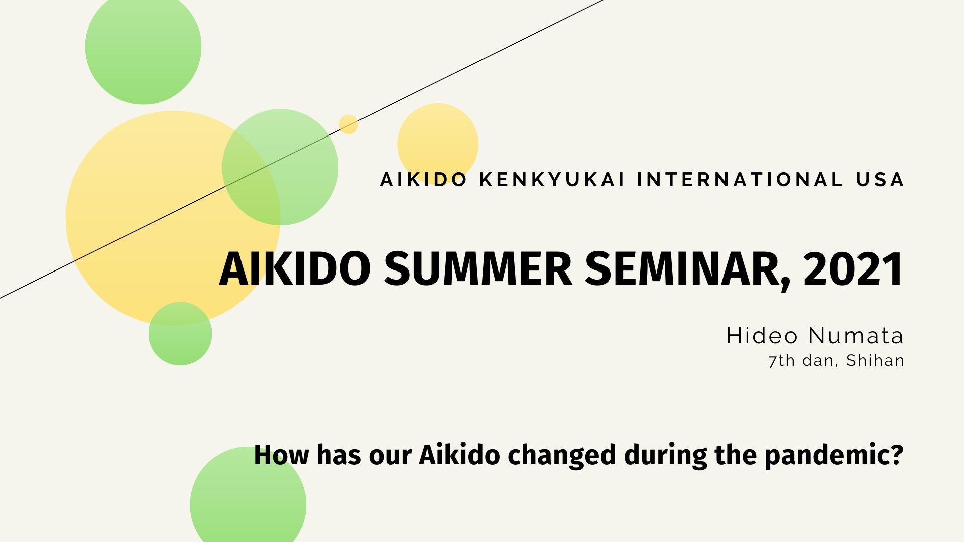 Aikido Summer Seminar 2021 - Hideo Numata Shihan
