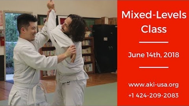 Aikido Kenkyukai Mixed Levels Class June 14th, 2018