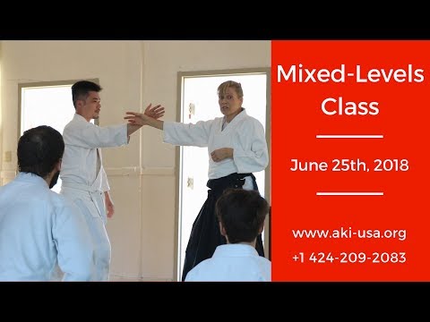 Aikido Kenkyukai Mixed Levels Class June 25th, 2018