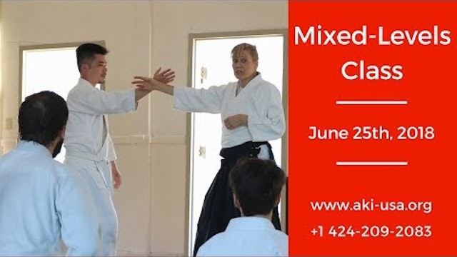 Aikido Kenkyukai Mixed Levels Class June 25th, 2018