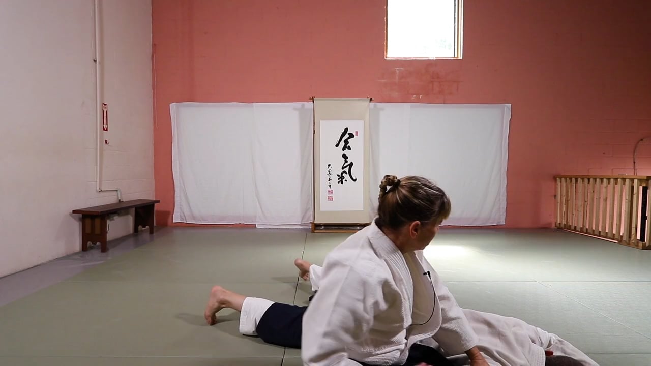 Suwari Waza Shomen Uchi Nikkyo