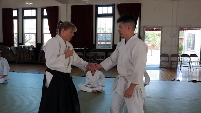 Aikido Kenkyukai Mixed Levels Class June 4th, 2018 - PART 2