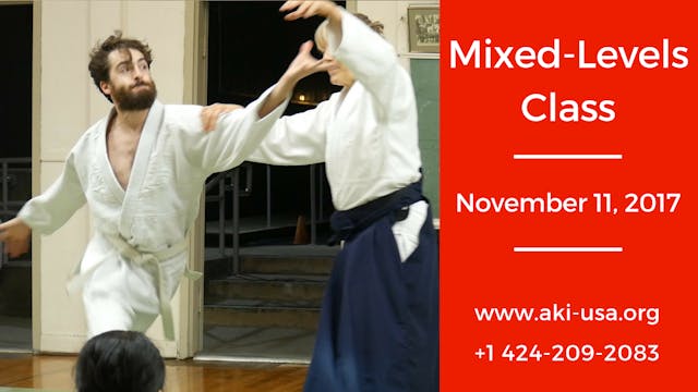 Mixed Levels Class: November  11, 2017