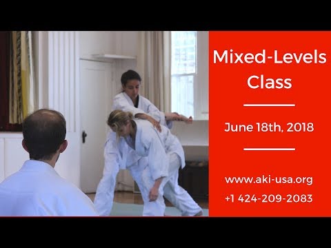 Aikido Kenkyukai Mixed Levels June 18th, 2018