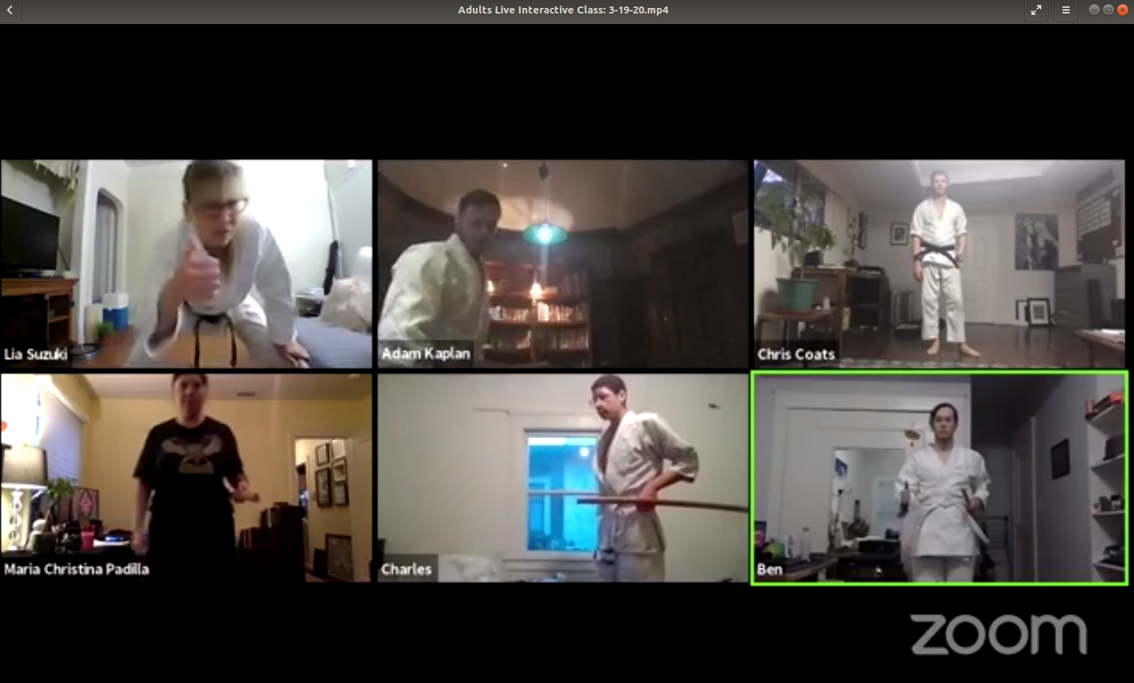 Adults Live Interactive Class: 3-19-20