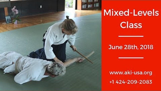 Aikido Kenkyukai Mixed Levels Class June 28th, 2018