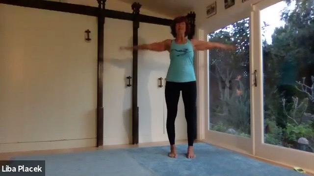 LibaFit Live Fitness Class 0330.0