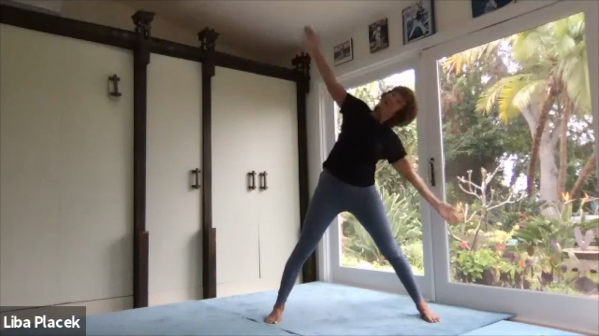 LibaFit Live Fitness Class 0412.0