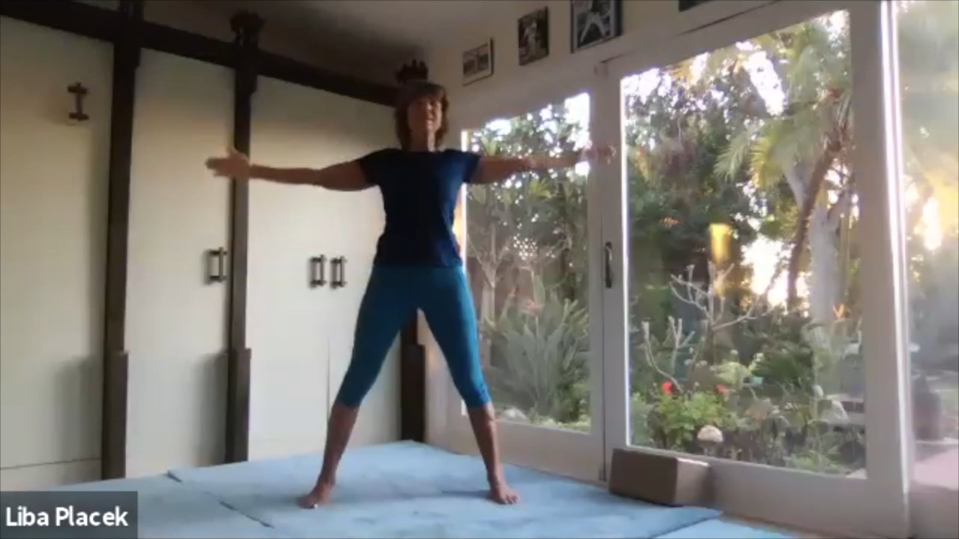 LibaFit Live Fitness Class  0415.0