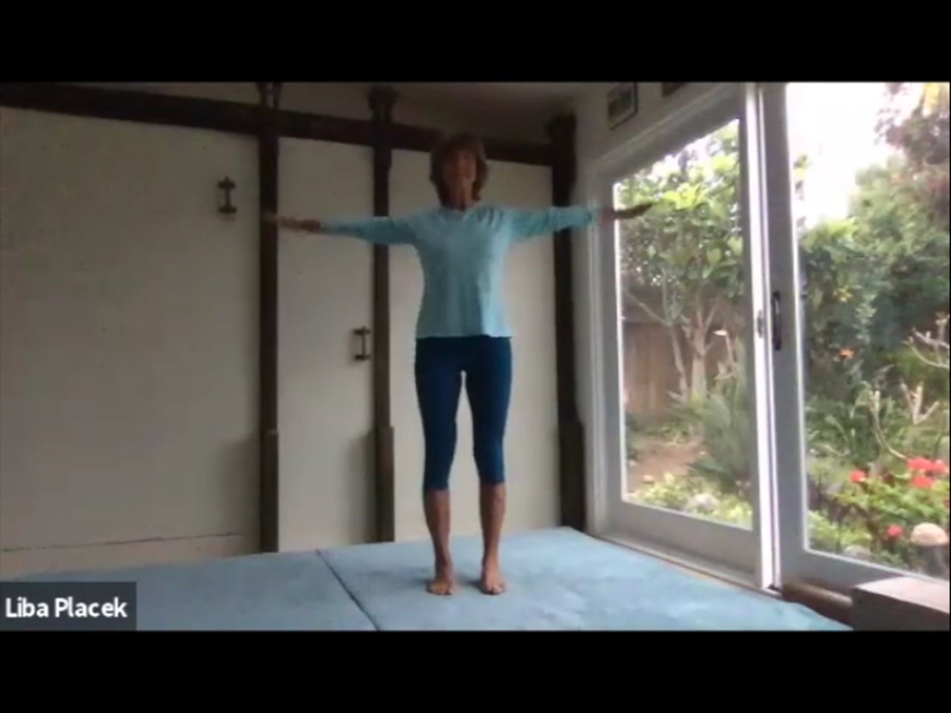 LibaFit Live Class 0429.0