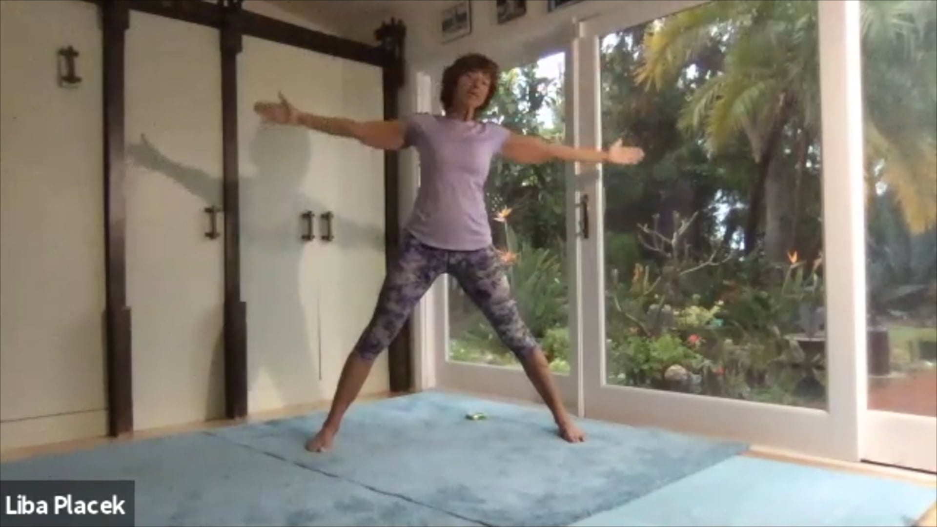 LibaFit Live Fitness Class 0410.0