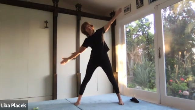 LibaFit Live Fitness Class with Strap...