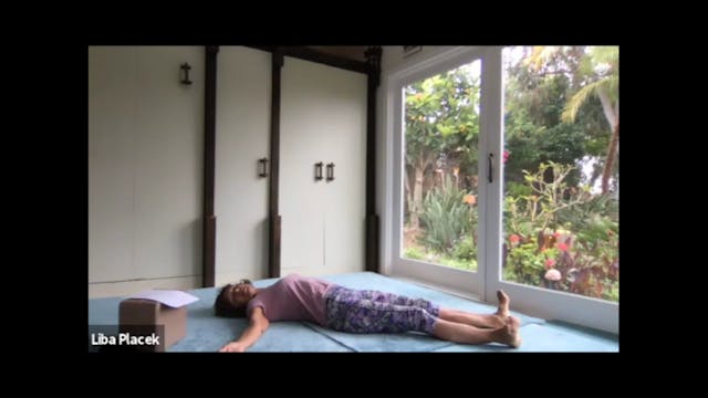 Post Hip Surgery Routine