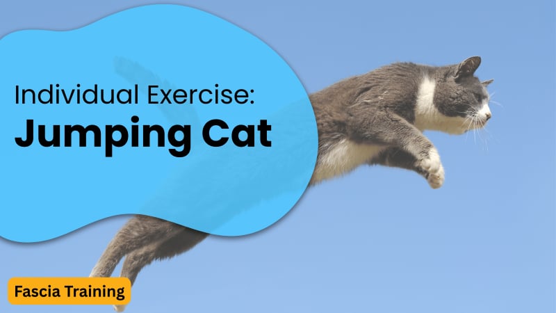Individual Exercise: Jumping Cat