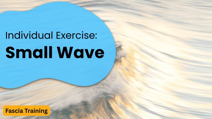 Individual Exercise: Small Wave